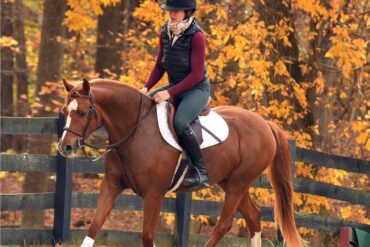 Horse Riding in Glen Burnie Maryland