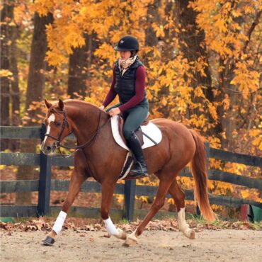 Horse Riding in Glen Burnie Maryland