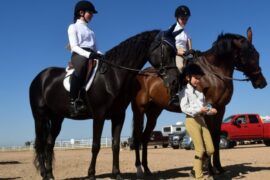 Horse Riding in Greeley Colorado