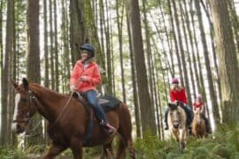 Horse Riding in Gresham Oregon