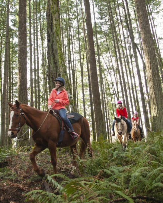 Horse Riding in Gresham Oregon