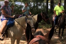 Horse Riding in Gulfport Mississippi