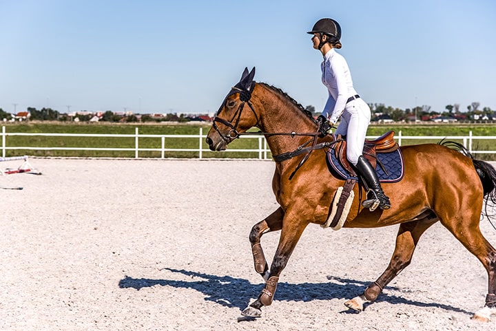 Horse Riding in Hartford Connecticut