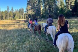 Horse Riding in Highlands Ranch Colorado