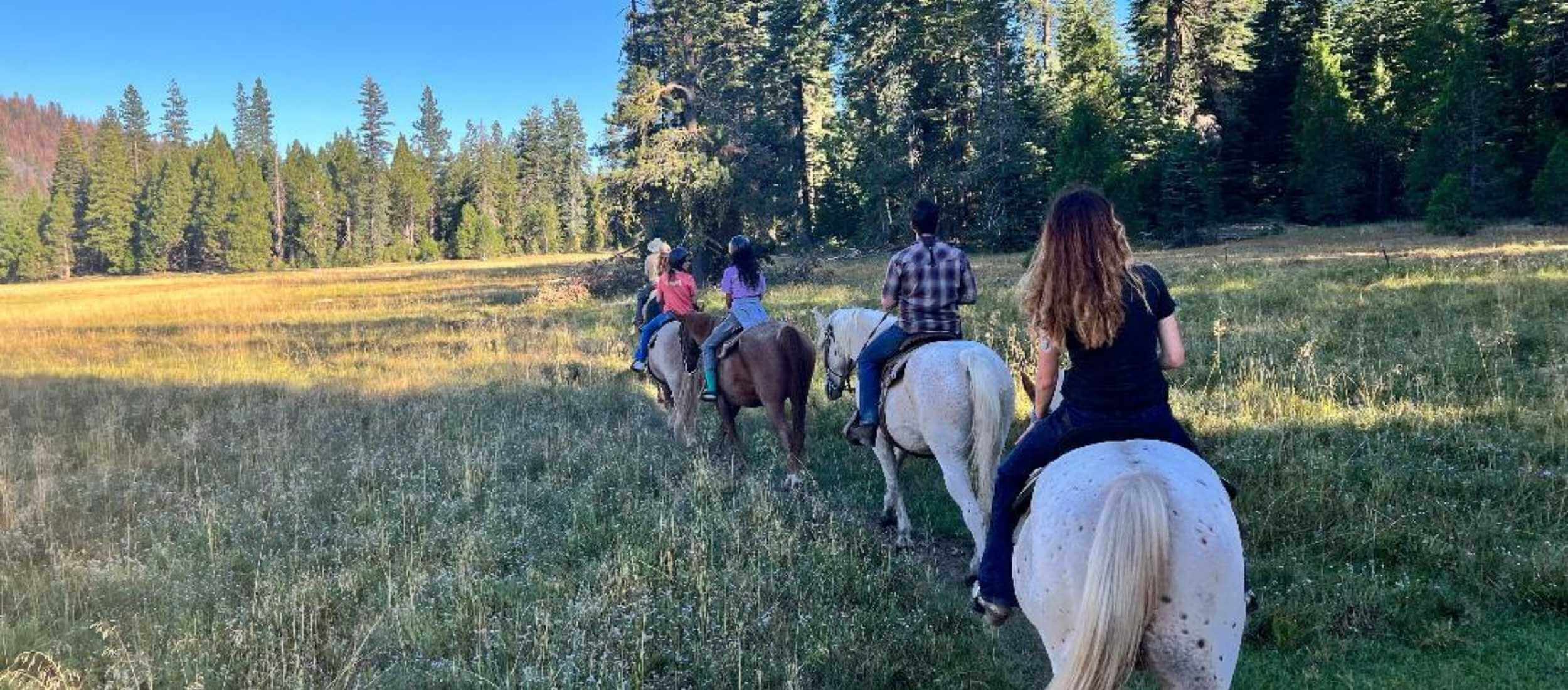 Horse Riding in Highlands Ranch Colorado