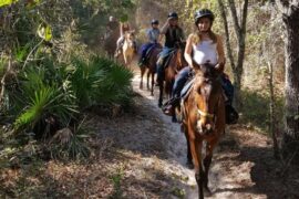 Horse Riding in Hillsborough County Florida