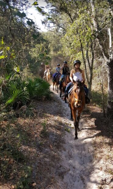 Horse Riding in Hillsborough County Florida