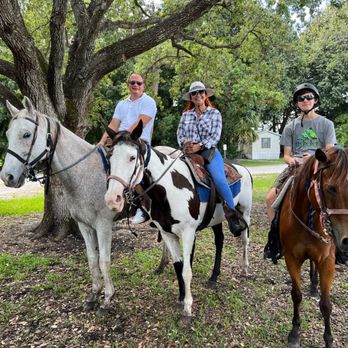 Horse Riding in Hollywood Florida