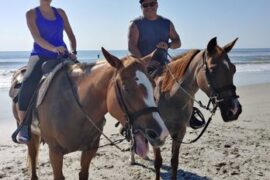 Horse Riding in Jacksonville Florida