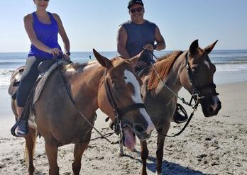 Horse Riding in Jacksonville Florida