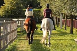 Horse Riding in Kendall Florida