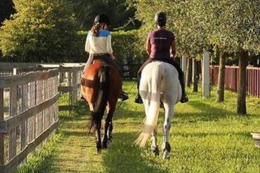 Horse Riding in Kendall Florida