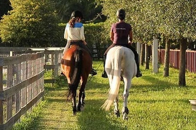 Horse Riding in Kendall Florida