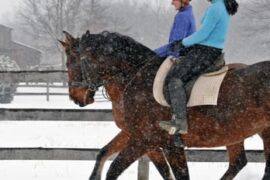 Horse Riding in Lafayette Indiana