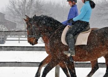 Horse Riding in Lafayette Indiana