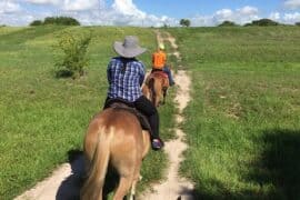 Horse Riding in Lakeland Florida