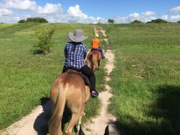 Horse Riding in Lakeland Florida