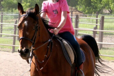 Horse Riding in Lakeville Minnesota