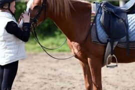 Horse Riding in Lawton Oklahoma