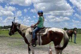 Horse Riding in Lehigh Acres Florida