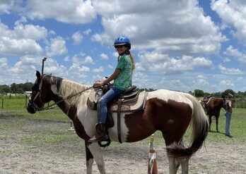 Horse Riding in Lehigh Acres Florida