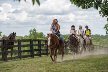 Horse Riding in Lexington Kentucky