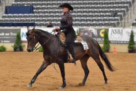 Horse Riding in Lincoln Nebraska