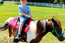 Horse Riding in Louisville Kentucky