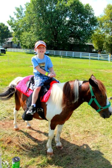 Horse Riding in Louisville Kentucky