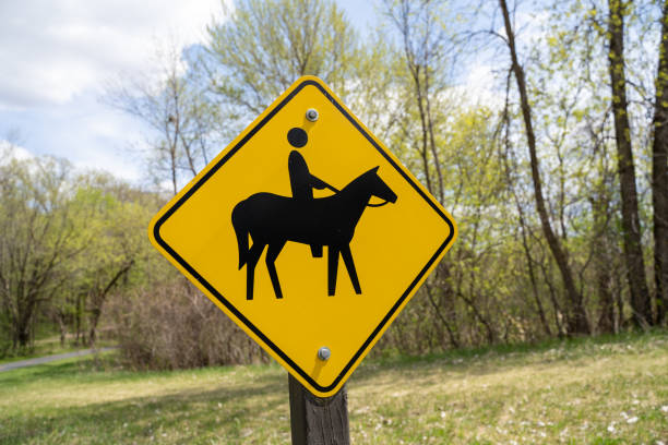 Horse Riding in Maple Grove Minnesota