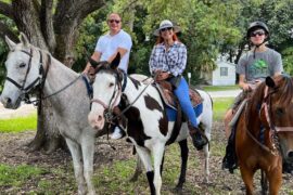 Horse Riding in Miami Gardens Florida