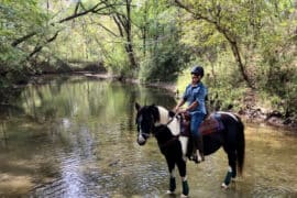 Horse Riding in Montgomery Alabama