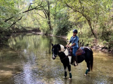 Horse Riding in Montgomery Alabama