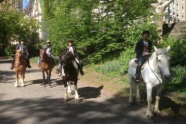 Horse Riding in New York City