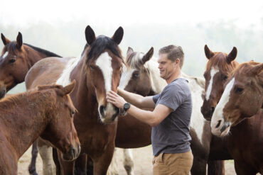 Horse Riding in Noblesville Indiana