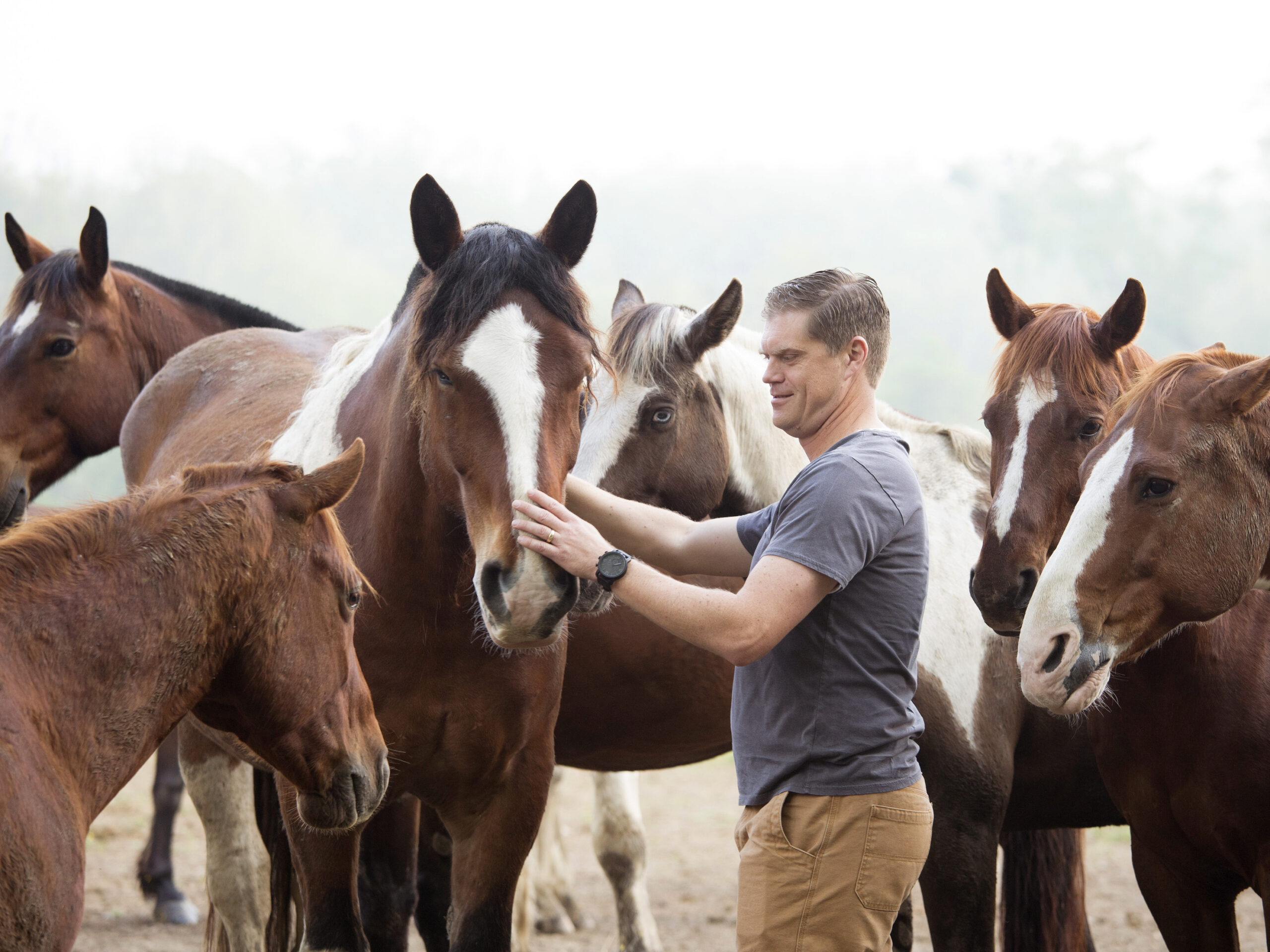 Horse Riding in Noblesville Indiana