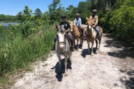 Horse Riding in North Charleston South Carolina