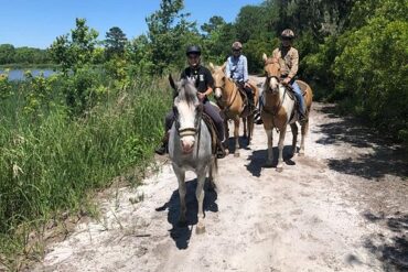 Horse Riding in North Charleston South Carolina