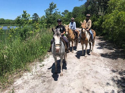 Horse Riding in North Charleston South Carolina