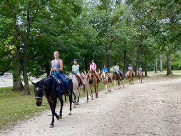 Horse Riding in Palatine Illinois