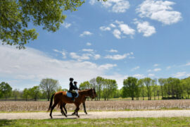 Horse Riding in Peoria Illinois