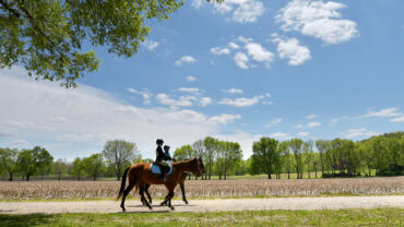 Horse Riding in Peoria Illinois