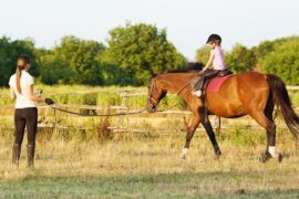 Horse Riding in Plymouth Minnesota