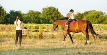 Horse Riding in Plymouth Minnesota