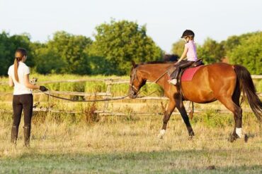 Horse Riding in Plymouth Minnesota