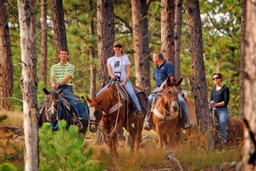 Horse Riding in Rapid City South Dakota