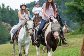 Horse Riding in Roanoke Virginia