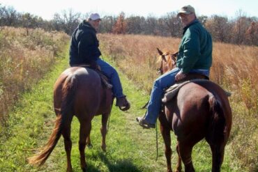 Horse Riding in Rochester Minnesota