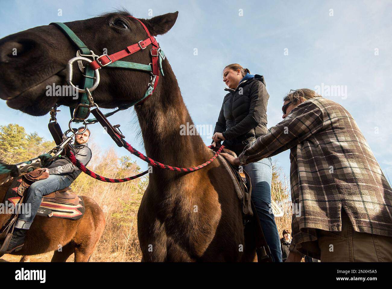 Horse Riding in Rockville Maryland