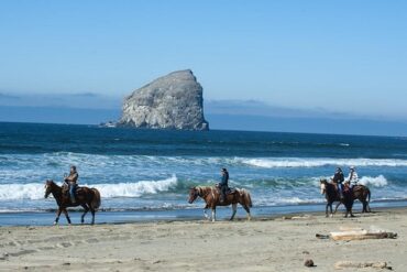 Horse Riding in Salem Oregon